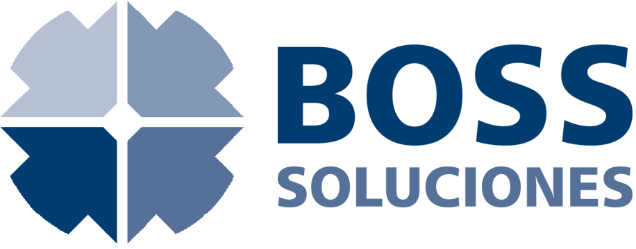 BOSS SOLUCIONES