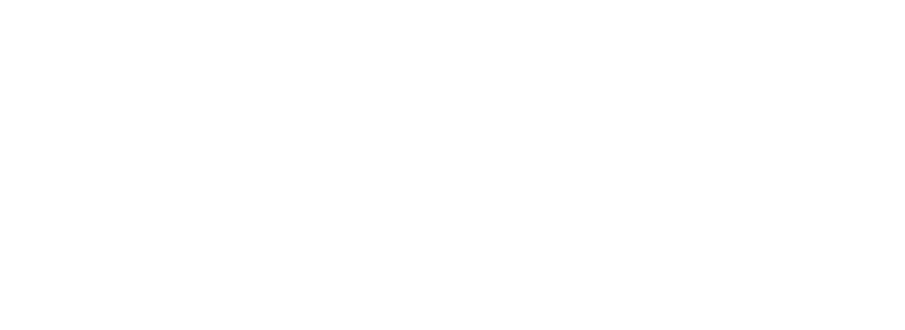 BOSS Soluciones